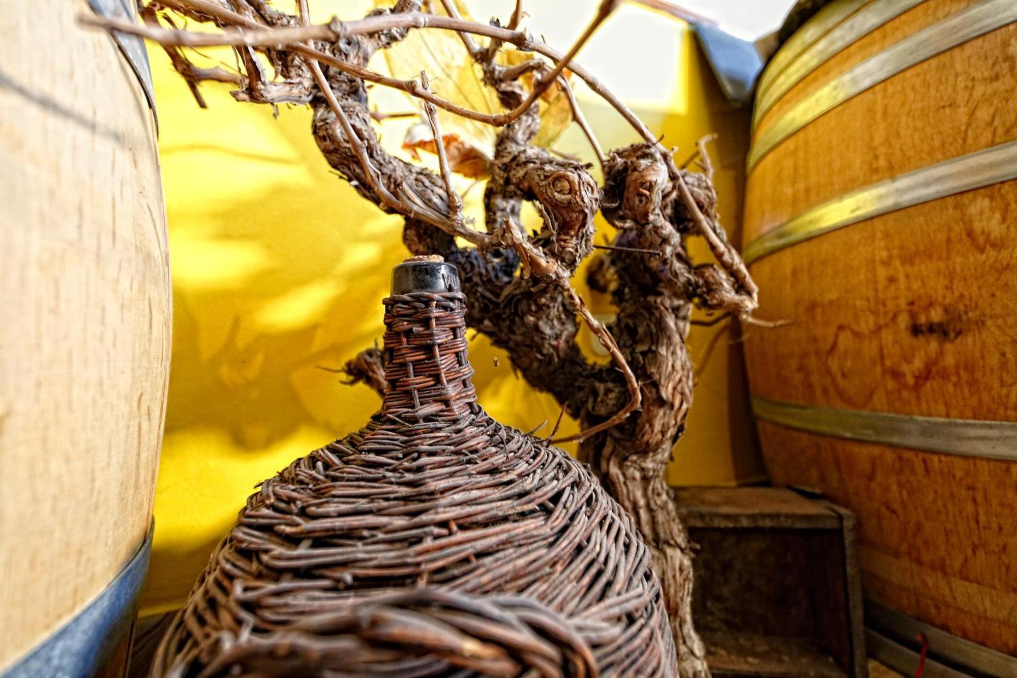 Alojamiento Rural Pueblo De La Ribera Peñafiel Rum bild